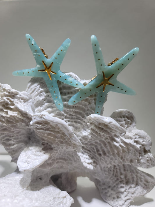 STARFISH CLIPS